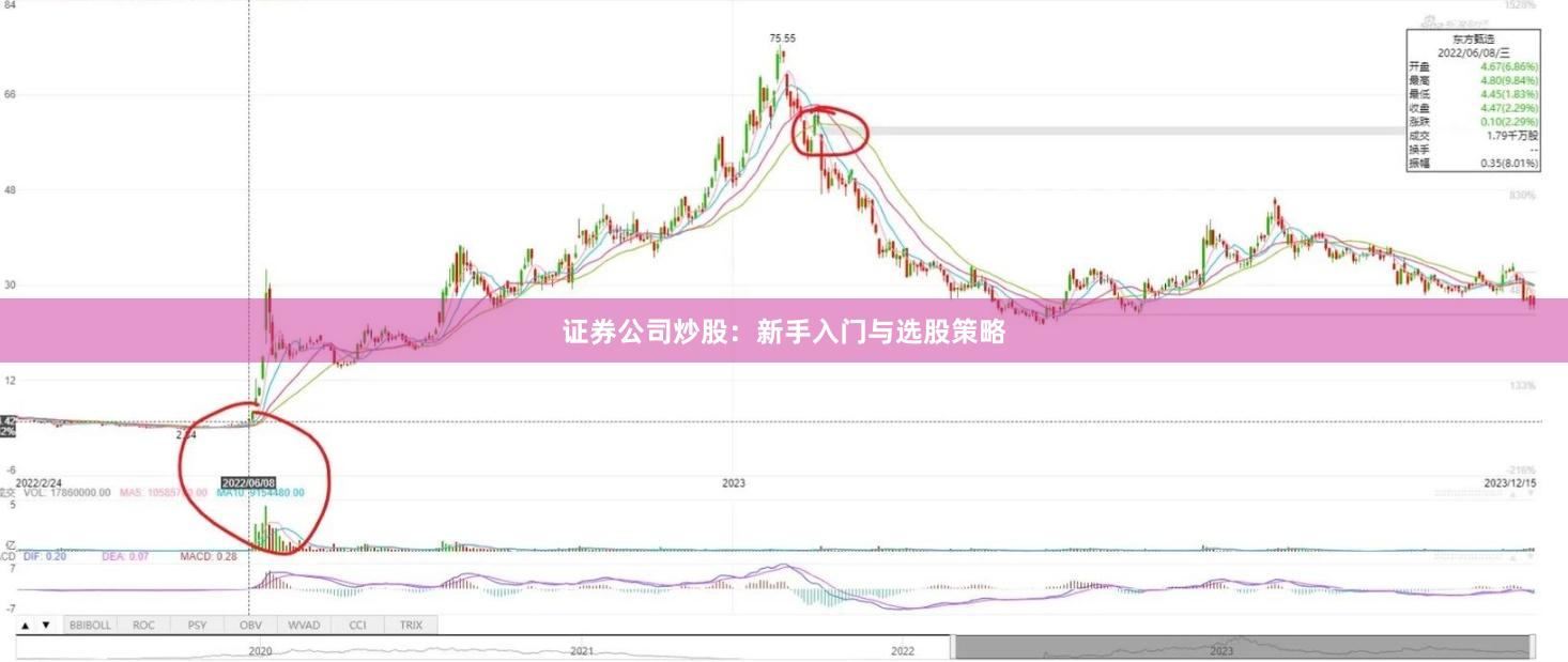 证券公司炒股：新手入门与选股策略